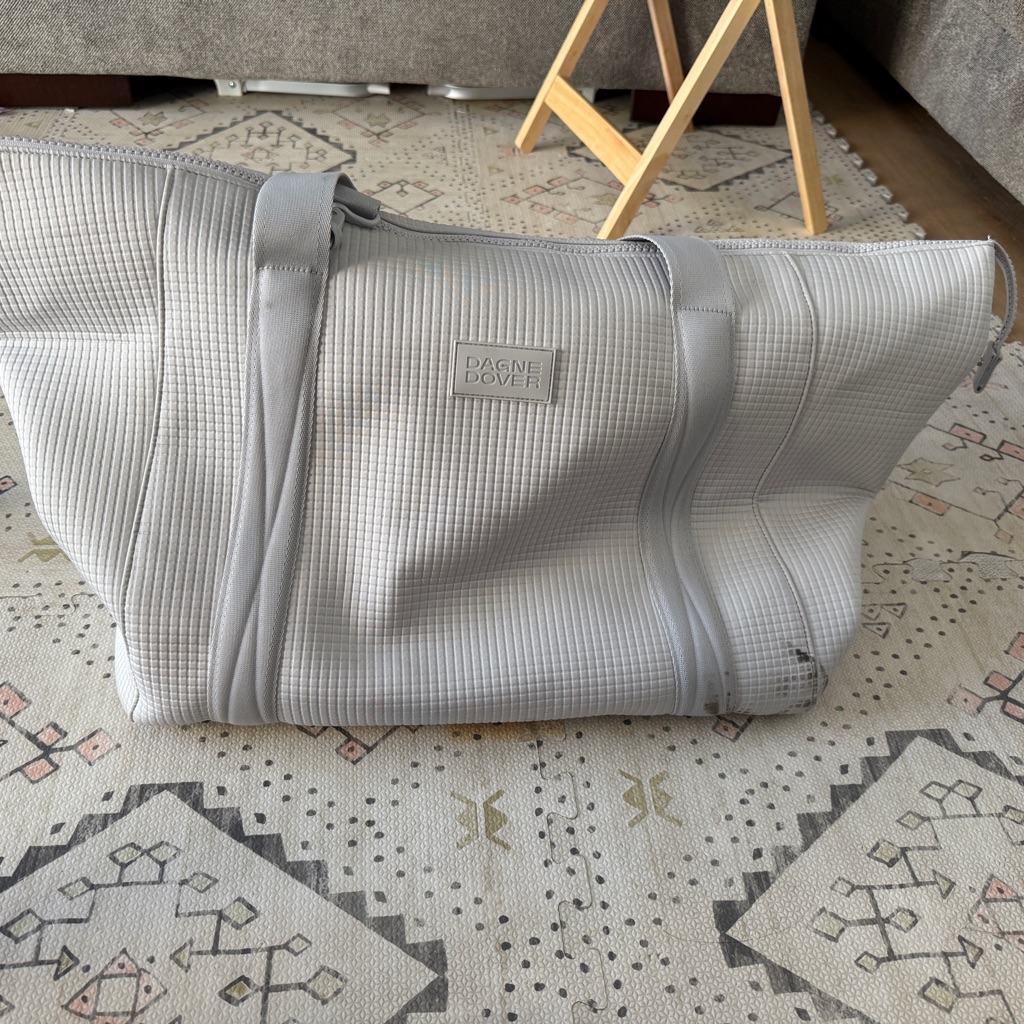 Dagne Dover Light Gray Carryall Bag